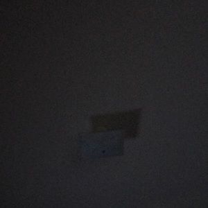 Meet your Posher, Bao